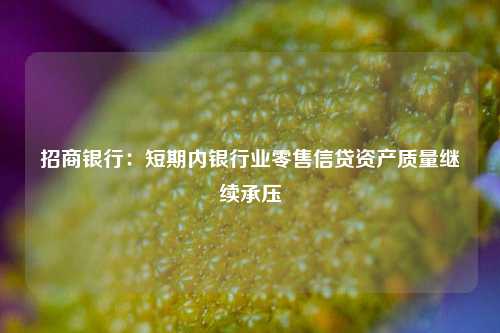 招商银行：短期内银行业零售信贷资产质量继续承压