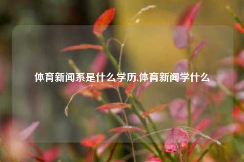 体育新闻系是什么学历,体育新闻学什么