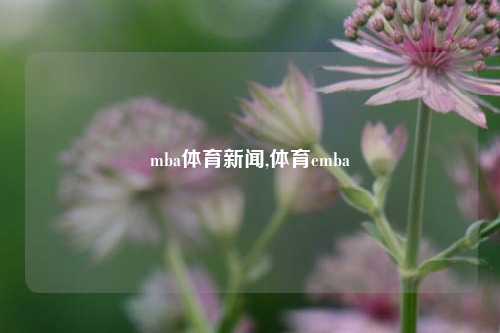 mba体育新闻,体育emba