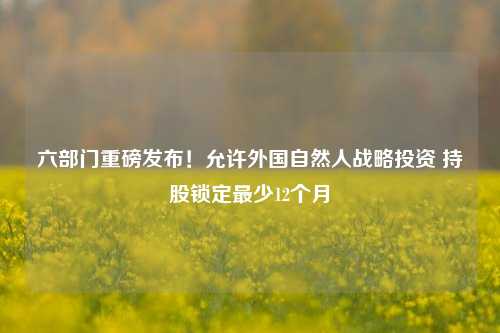 六部门重磅发布！允许外国自然人战略投资 持股锁定最少12个月