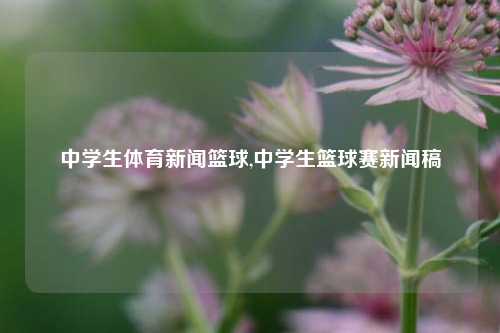 中学生体育新闻篮球,中学生篮球赛新闻稿