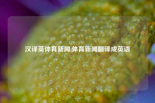 汉译英体育新闻,体育新闻翻译成英语