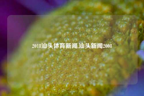 2018汕头体育新闻,汕头新闻2008