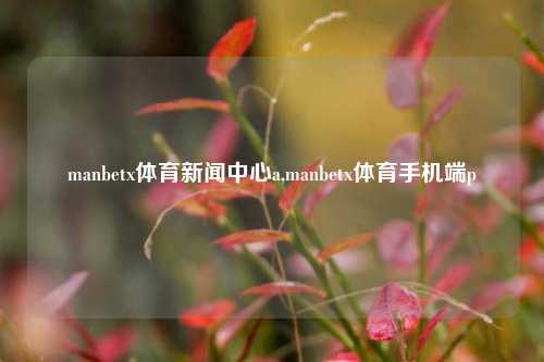 manbetx体育新闻中心a,manbetx体育手机端p