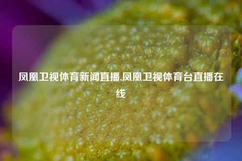 凤凰卫视体育新闻直播,凤凰卫视体育台直播在线