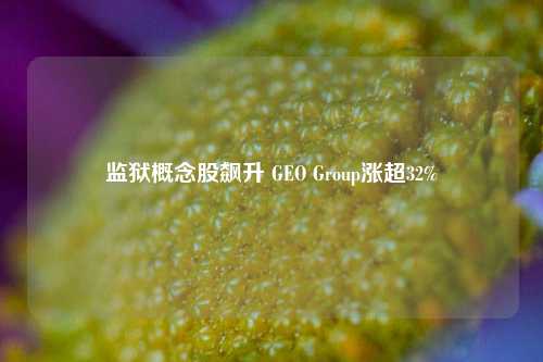 监狱概念股飙升 GEO Group涨超32%