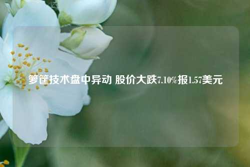 箩筐技术盘中异动 股价大跌7.10%报1.57美元