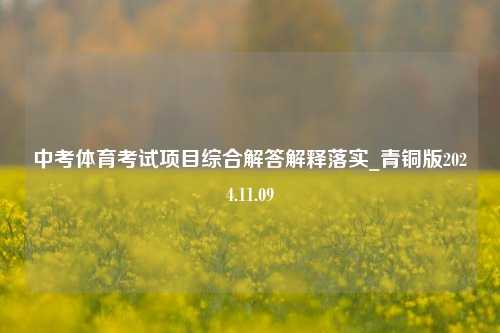 中考体育考试项目综合解答解释落实_青铜版2024.11.09