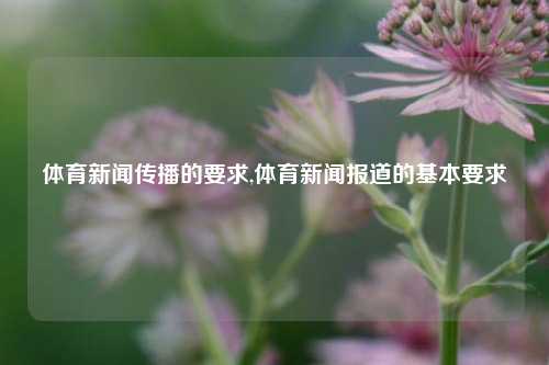 体育新闻传播的要求,体育新闻报道的基本要求