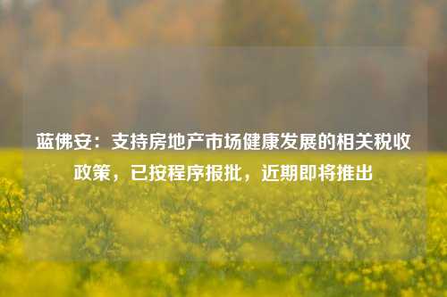 蓝佛安：支持房地产市场健康发展的相关税收政策，已按程序报批，近期即将推出