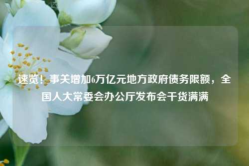 速览！事关增加6万亿元地方政府债务限额，全国人大常委会办公厅发布会干货满满