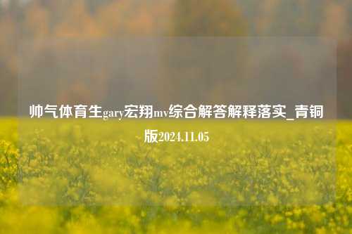 帅气体育生gary宏翔mv综合解答解释落实_青铜版2024.11.05