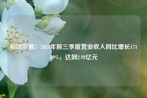 廊坊发展：2024年前三季度营业收入同比增长171.89%，达到2.98亿元