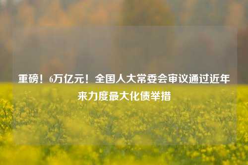 重磅！6万亿元！全国人大常委会审议通过近年来力度最大化债举措