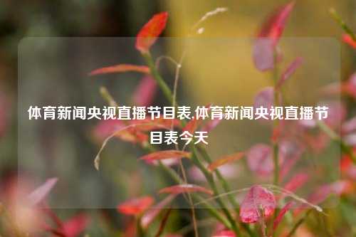 体育新闻央视直播节目表,体育新闻央视直播节目表今天