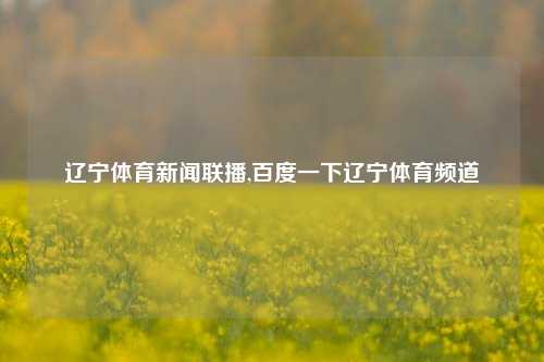 辽宁体育新闻联播,百度一下辽宁体育频道