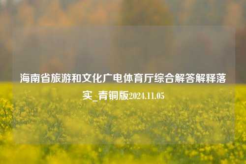 海南省旅游和文化广电体育厅综合解答解释落实_青铜版2024.11.05