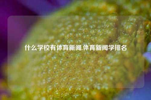 什么学校有体育新闻,体育新闻学排名