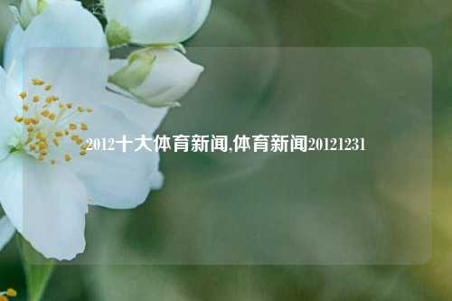 2012十大体育新闻,体育新闻20121231