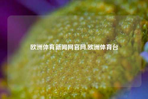 欧洲体育新闻网官网,欧洲体育台