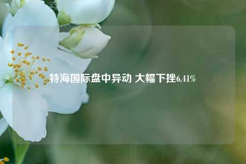 特海国际盘中异动 大幅下挫6.41%