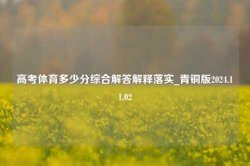 高考体育多少分综合解答解释落实_青铜版2024.11.02