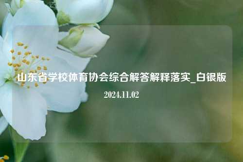 山东省学校体育协会综合解答解释落实_白银版2024.11.02