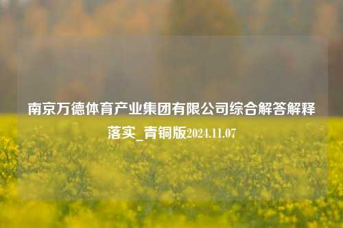 南京万德体育产业集团有限公司综合解答解释落实_青铜版2024.11.07