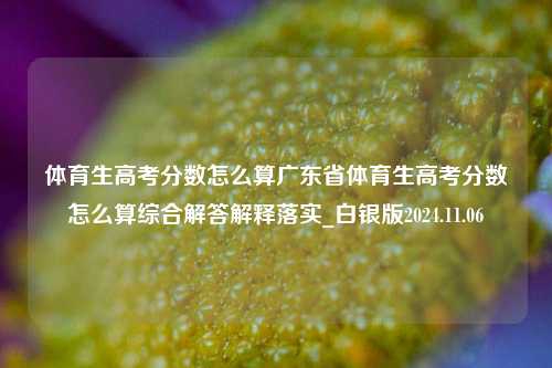 体育生高考分数怎么算广东省体育生高考分数怎么算综合解答解释落实_白银版2024.11.06