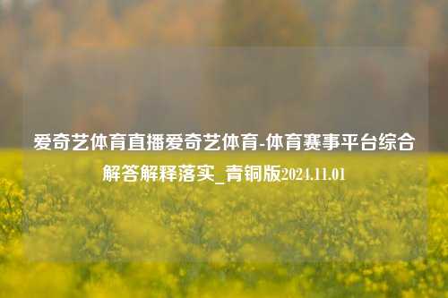 爱奇艺体育直播爱奇艺体育-体育赛事平台综合解答解释落实_青铜版2024.11.01