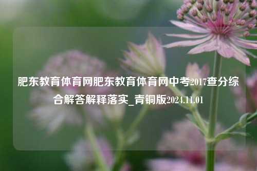 肥东教育体育网肥东教育体育网中考2017查分综合解答解释落实_青铜版2024.11.01