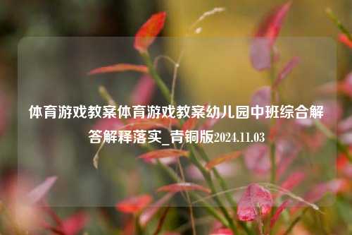 体育游戏教案体育游戏教案幼儿园中班综合解答解释落实_青铜版2024.11.03