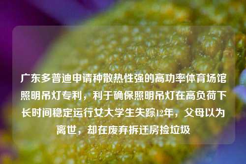 广东多普迪申请种散热性强的高功率体育场馆照明吊灯专利，利于确保照明吊灯在高负荷下长时间稳定运行女大学生失踪12年，父母以为离世，却在废弃拆迁房捡垃圾