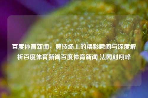 百度体育新闻，竞技场上的精彩瞬间与深度解析百度体育新闻百度体育新闻 法网刘翔峰