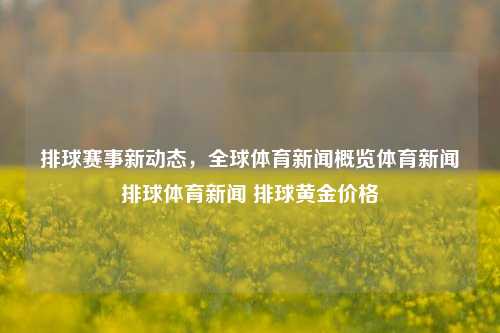 排球赛事新动态，全球体育新闻概览体育新闻排球体育新闻 排球黄金价格