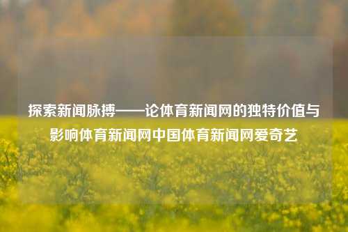 探索新闻脉搏——论体育新闻网的独特价值与影响体育新闻网中国体育新闻网爱奇艺