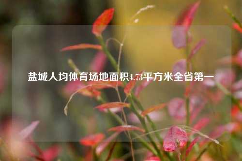 盐城人均体育场地面积4.73平方米全省第一