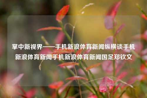 掌中新视界——手机新浪体育新闻纵横谈手机新浪体育新闻手机新浪体育新闻国足郑钦文