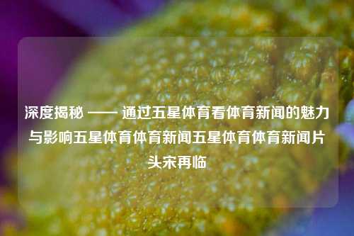 深度揭秘 —— 通过五星体育看体育新闻的魅力与影响五星体育体育新闻五星体育体育新闻片头宋再临