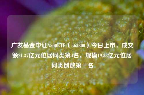 广发基金中证A500ETF（563800）今日上市，成交额21.37亿元位居同类第4名，规模19.33亿元位居同类倒数第一名