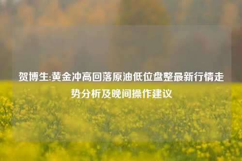 贺博生:黄金冲高回落原油低位盘整最新行情走势分析及晚间操作建议