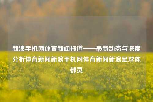 新浪手机网体育新闻报道——最新动态与深度分析体育新闻新浪手机网体育新闻新浪足球陈都灵