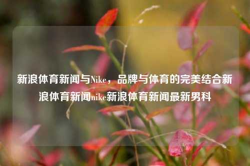 新浪体育新闻与Nike，品牌与体育的完美结合新浪体育新闻nike新浪体育新闻最新男科