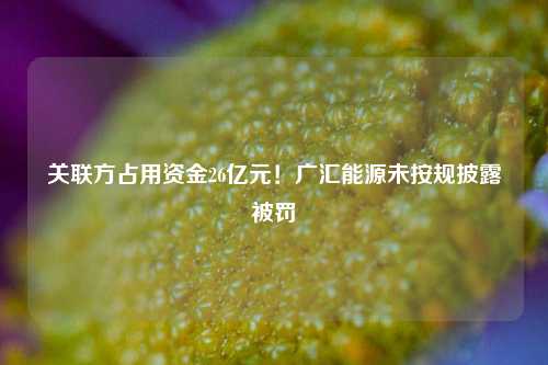 关联方占用资金26亿元！广汇能源未按规披露被罚