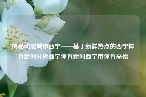 揭秘动感城市西宁——基于新鲜热点的西宁体育新闻分析西宁体育新闻西宁市体育高德