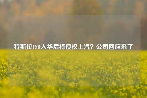 特斯拉FSD入华后将授权上汽？公司回应来了