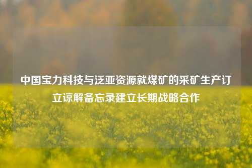 中国宝力科技与泛亚资源就煤矿的采矿生产订立谅解备忘录建立长期战略合作