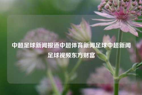 中超联赛 激烈对抗 球员风采 精彩瞬间