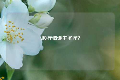 A股行情谁主沉浮？