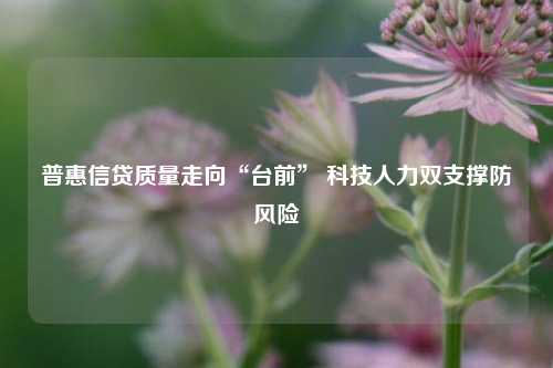 普惠信贷质量走向“台前” 科技人力双支撑防风险